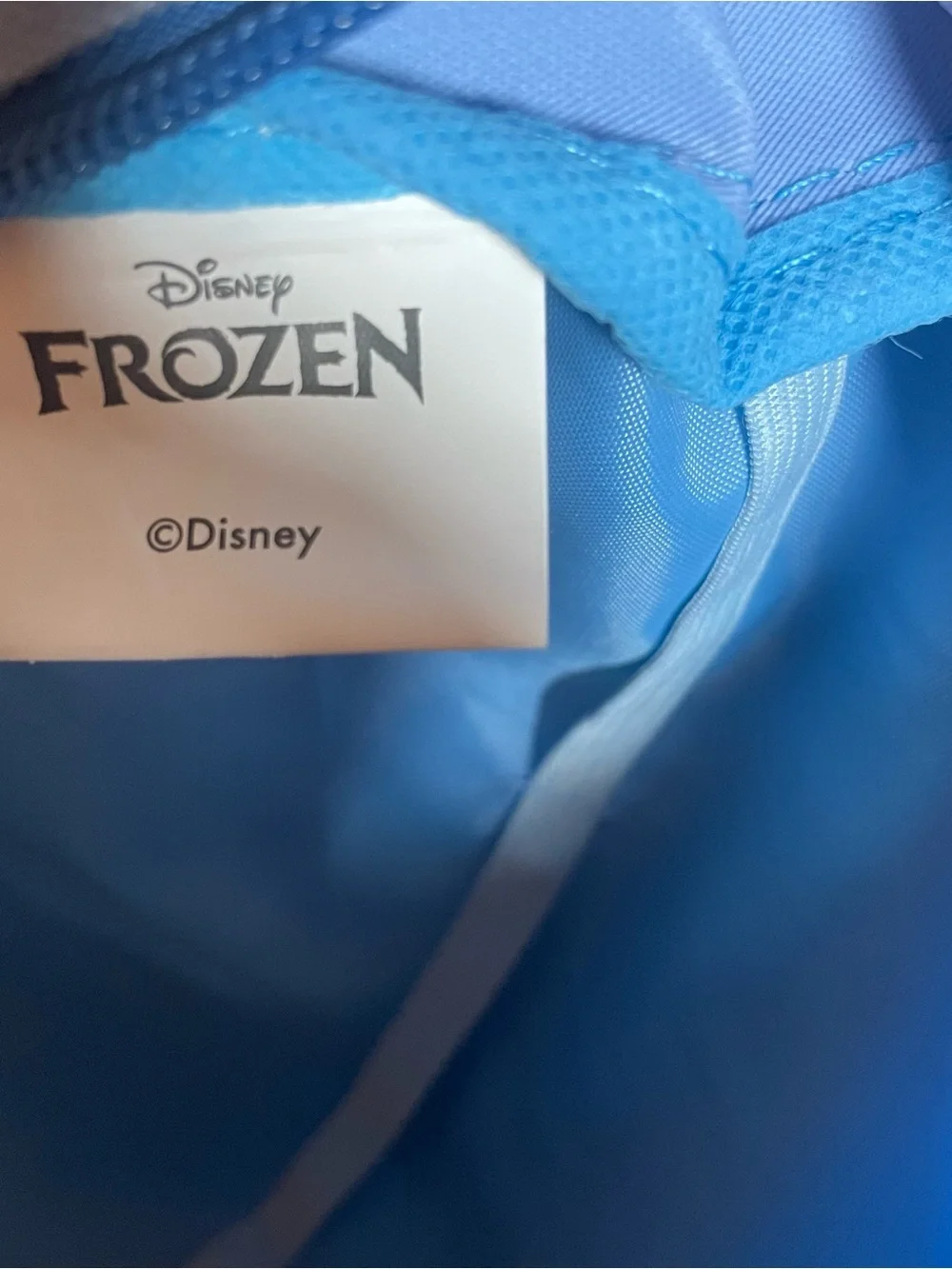 Disney Frozen Elsa & Anna Kids Backpack Blue School Book Bag Official Licensed N